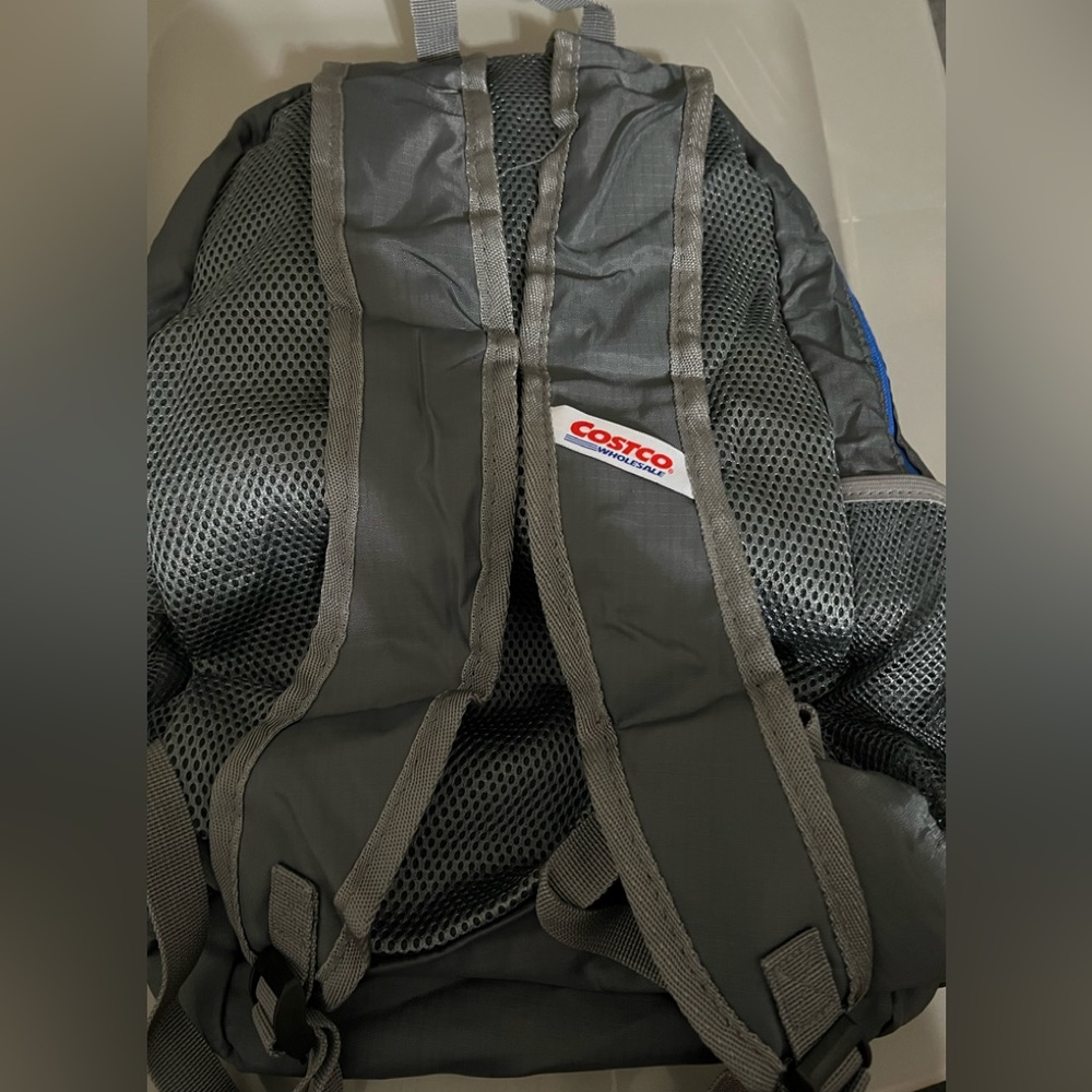 Costco Collapsible Backpack in Grey - Picture 2 of 4